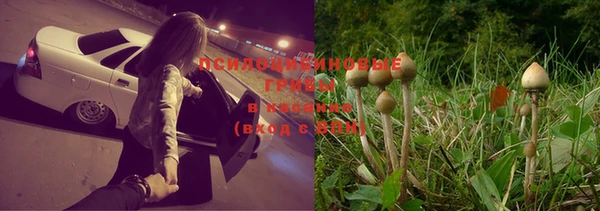 мяу мяу мука Алексин