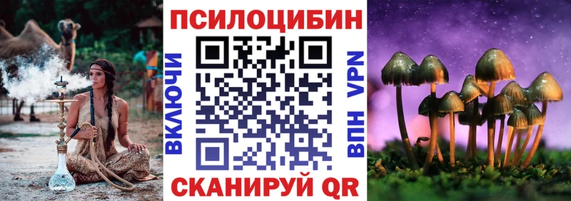 Купить закладки  Стрежевой  Галлюциногенные грибы Psilocybe 